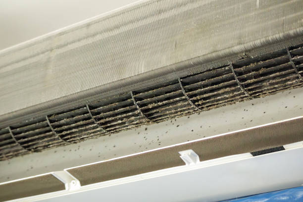 Best Affordable Air Duct Cleaning  in Gore, OK